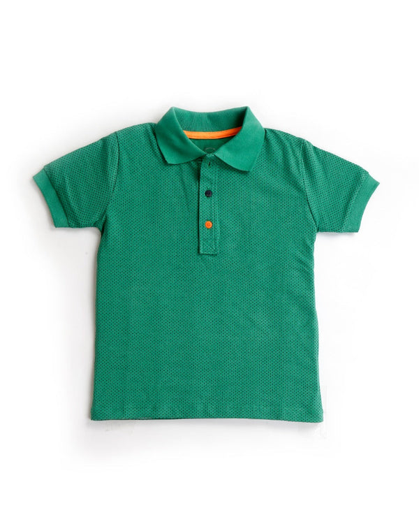 Boys Polo T Shirt - 0246181