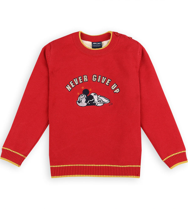Boys Sweater - 0242130