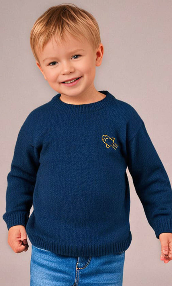 Boys Sweater - 0282927