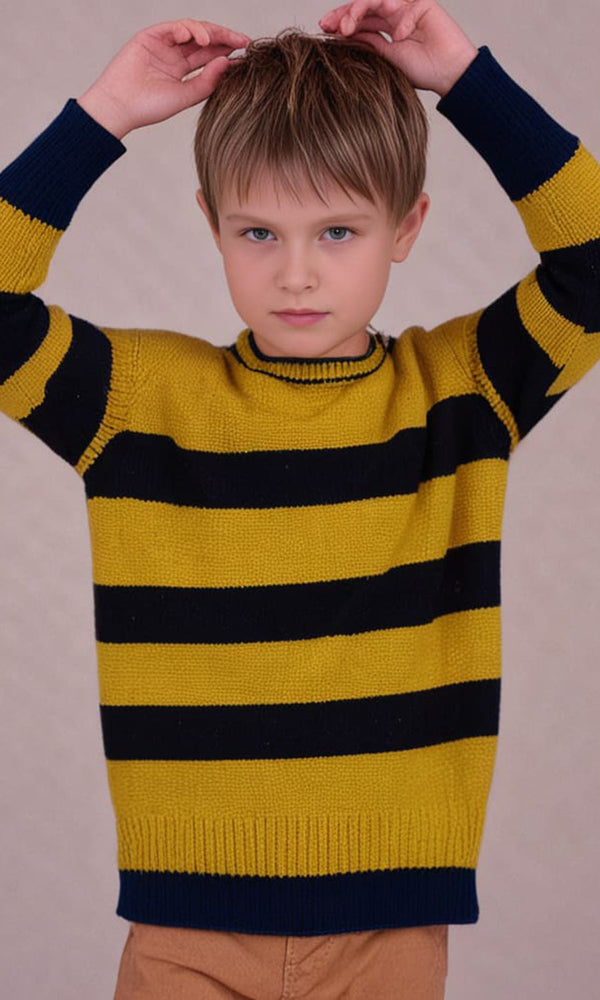 Boys Sweater - 0290104