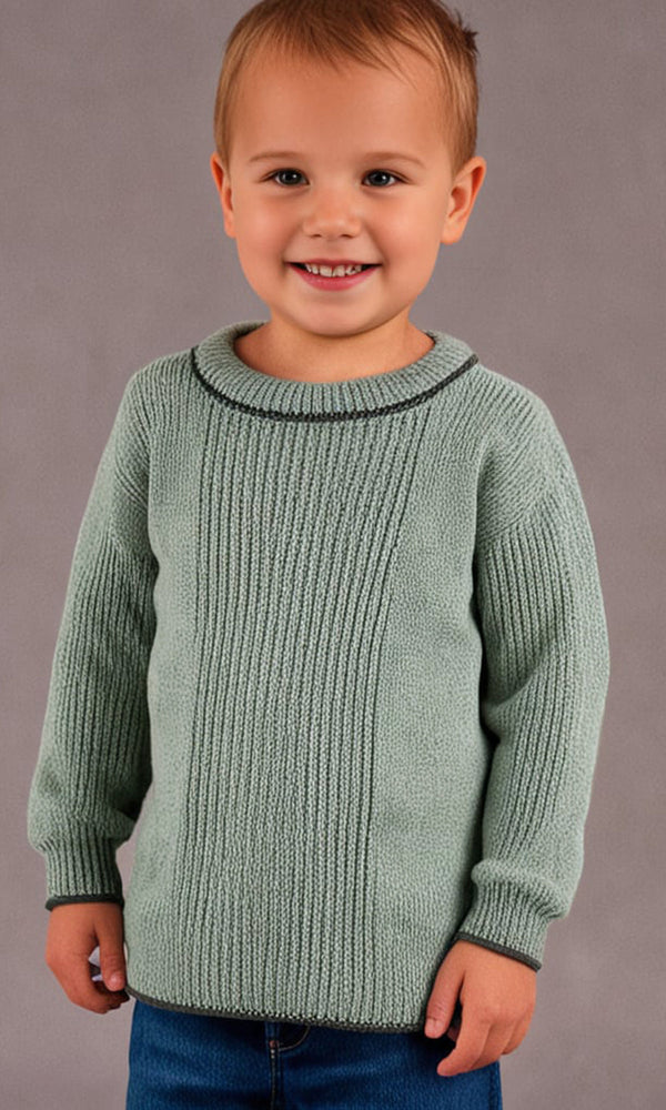 Boys Sweater - 0291746