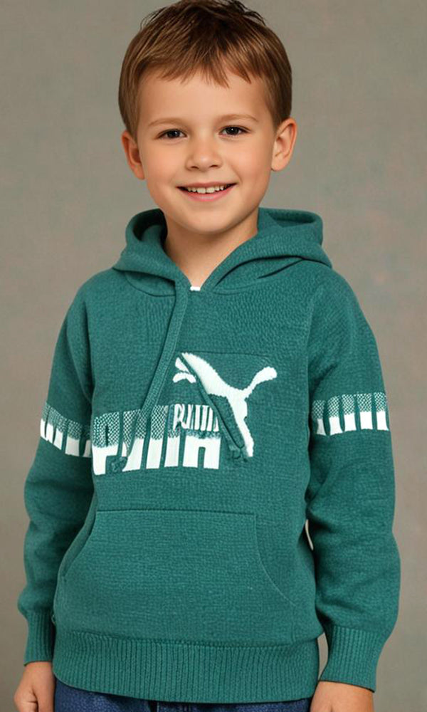 Boys Hoodie - 0297498