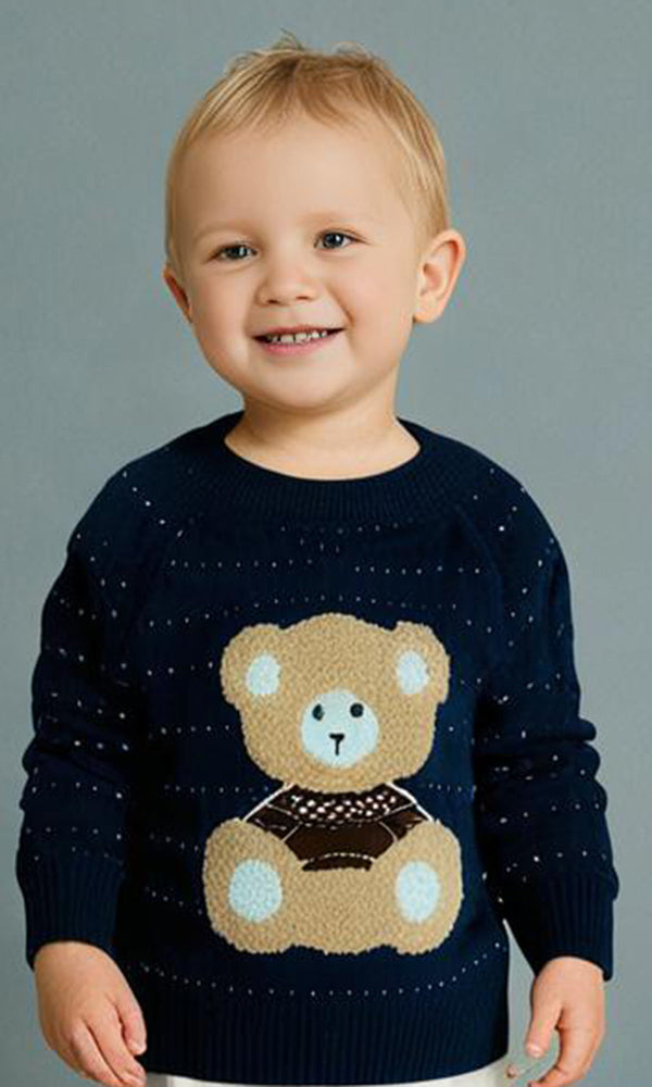 Boys Sweater - 0298533