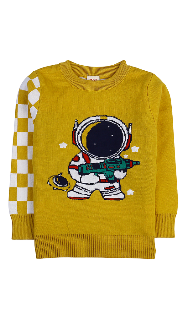 Boys Sweater - 0298661