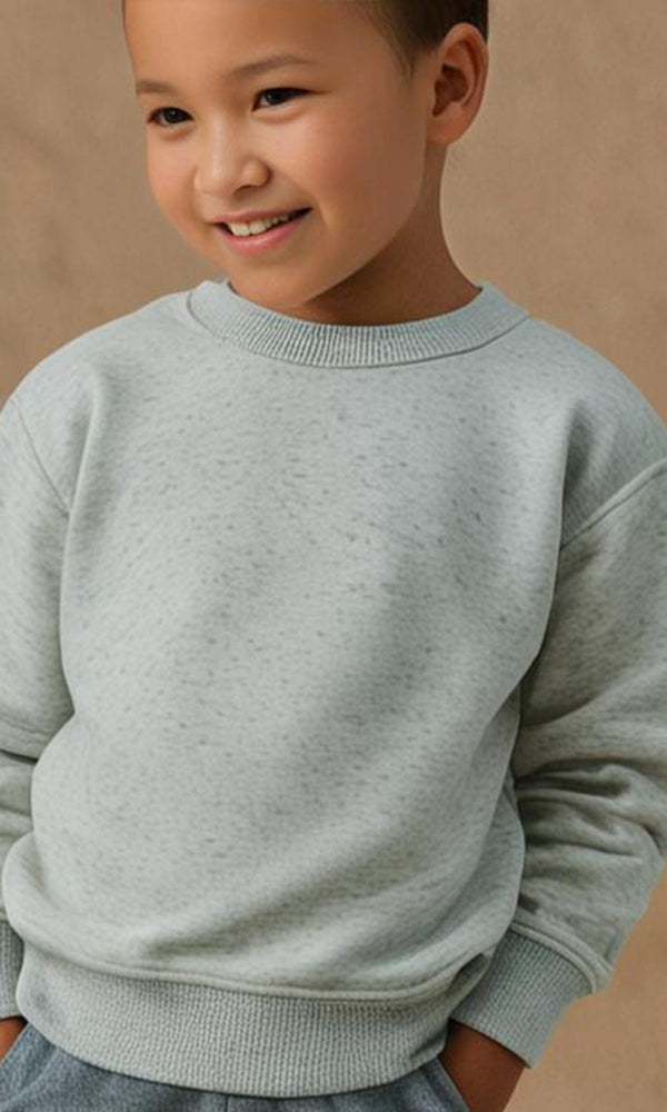 Boys Sweatshirt - 0298740