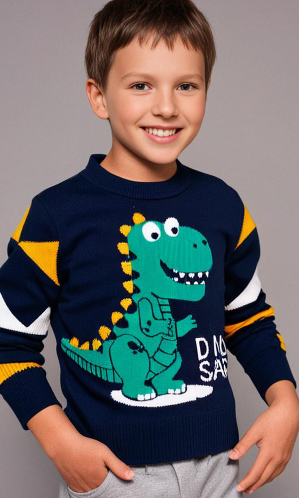 Boys Sweater - 0298773