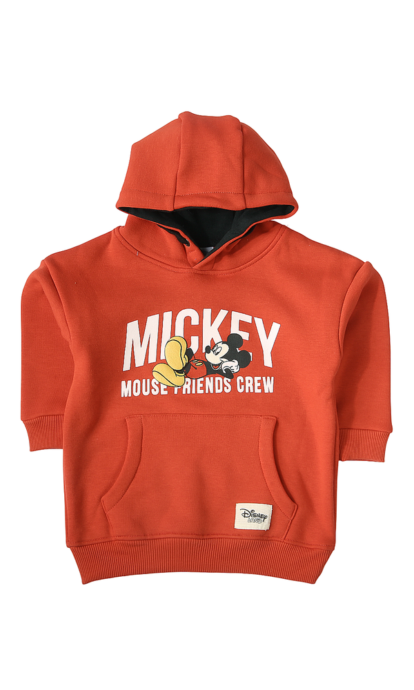 Boys Hoodie - 0319039