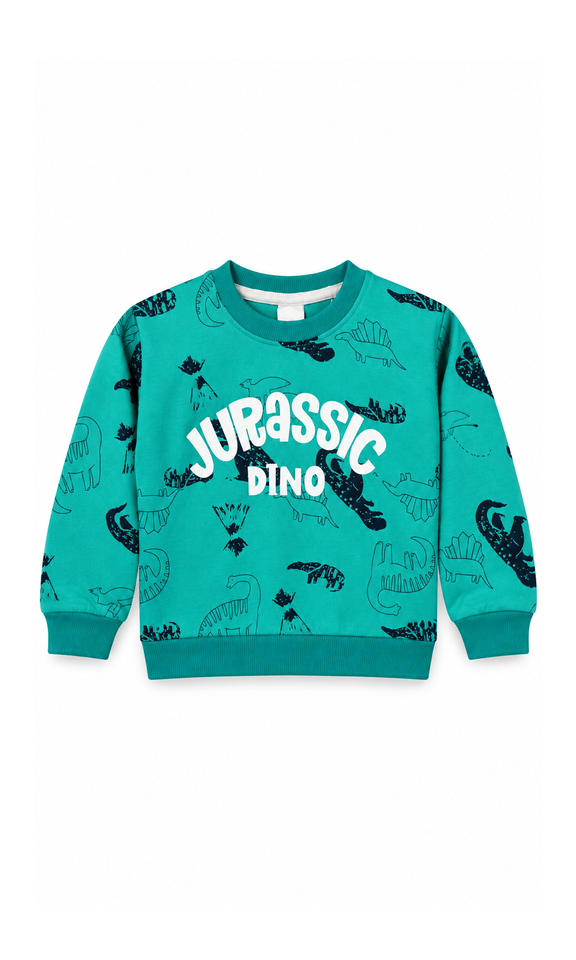 Boys Sweatshirt Teal Dinosaur Print – Zubaidas Online