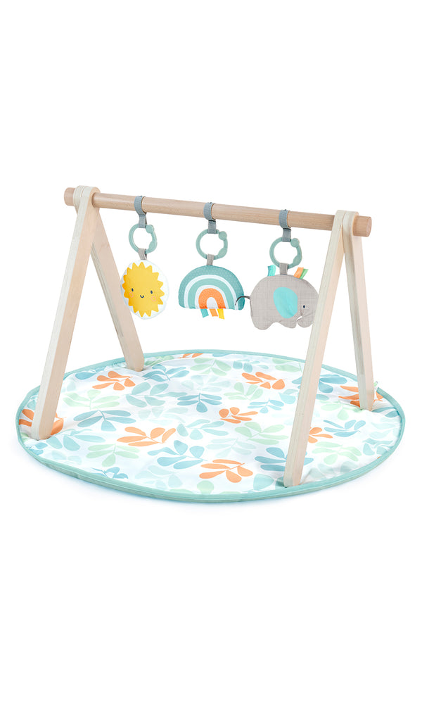 Sun Valley Wooden Toy Arch & Play Mat