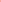 Boy's Shorts Fluo Red CC CCB2411719