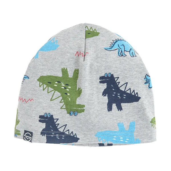 Boy's Hat Gray CC CAB2531065