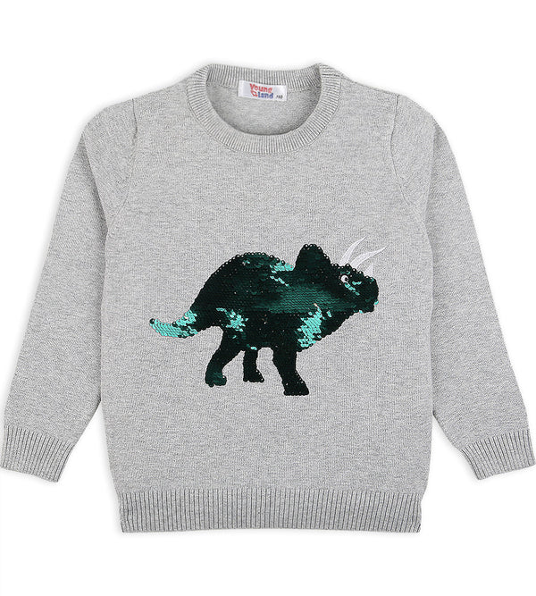 Girls Sweater - 0222755