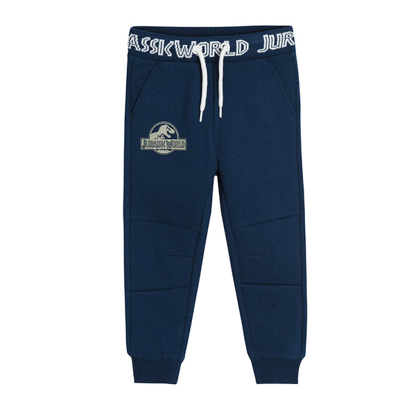 Boy's Trousers Navy Blue Jurassic World CC LCB2411017