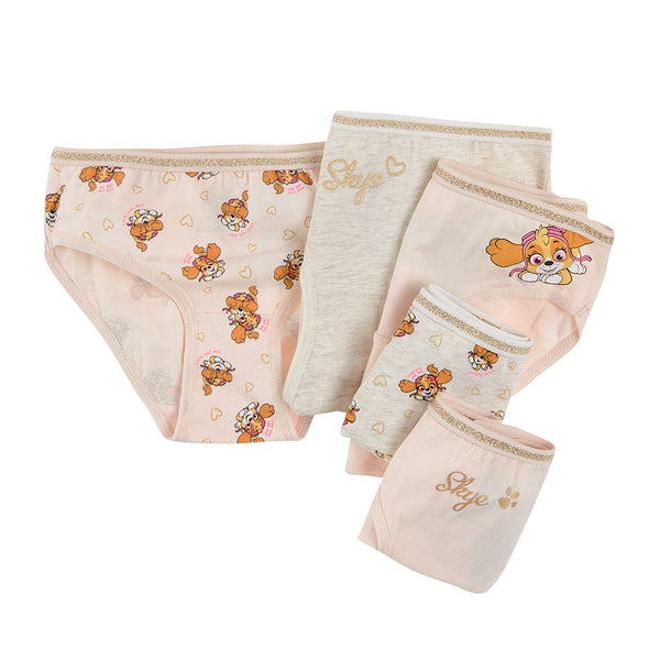 Briefs Girl's Panties Mix Set 5 Pcs CC LUG2410011