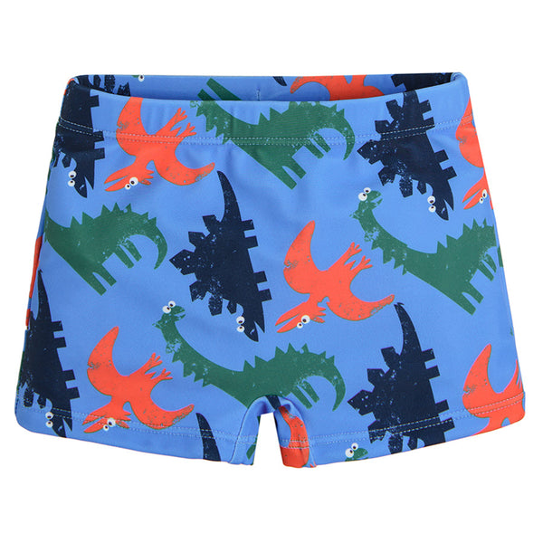 Boy's Swimming Shorts Blue CC CCB2510834